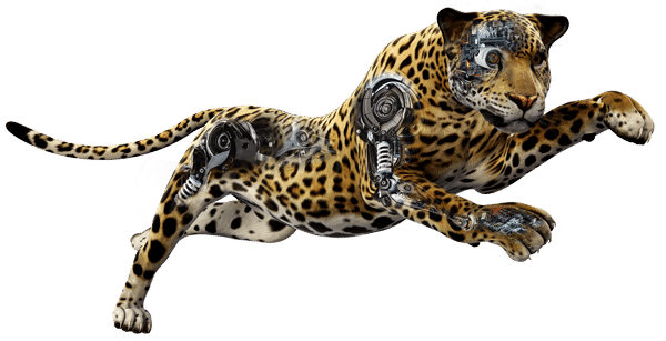 Prozess Leopard