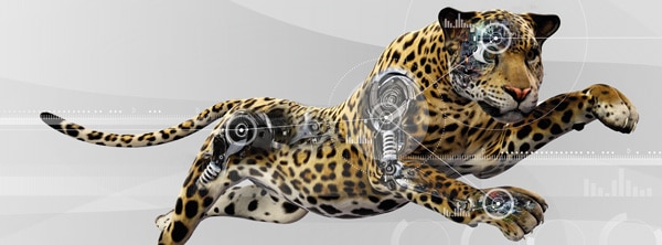Header Leopard mobil